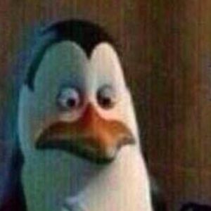 Meet your Posher, Owen